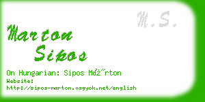 marton sipos business card